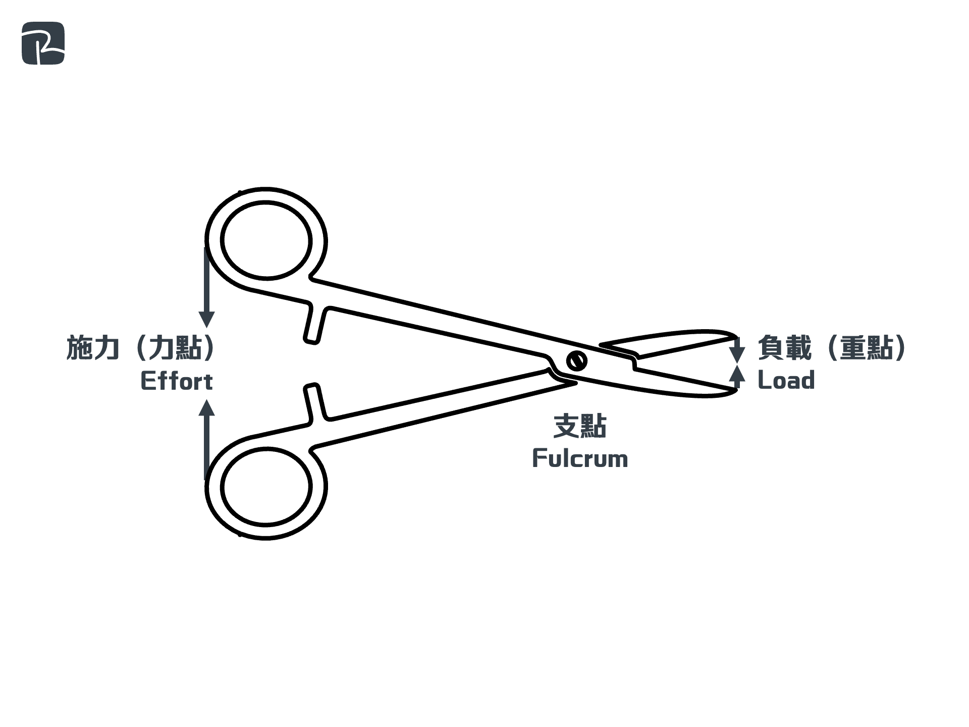 2013 DAT P2C Q8a forceps - DAT|機械組織 Mechanisms|S2 科技原理 Technological Principles 鉗子 2013-DAT-P2C-Q8(a)