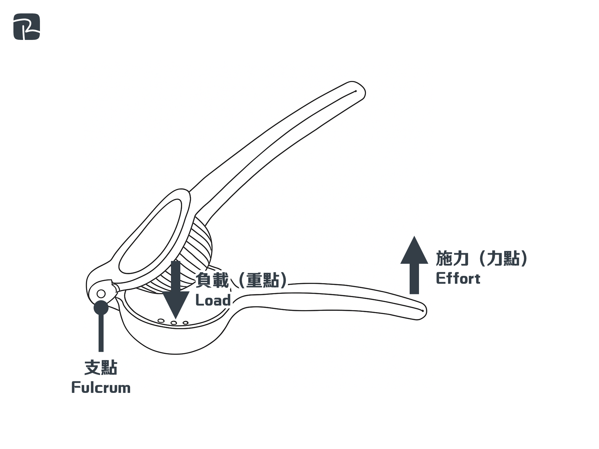 2017 DAT P1 Q2aii - DAT|機械組織 Mechanisms|S2 科技原理 Technological Principles 榨汁器 2017-DAT-P1-Q2(a)(ii)